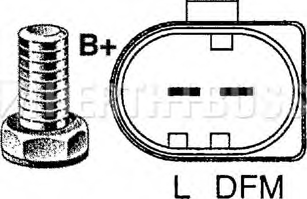 000150065080