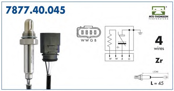 036906262A