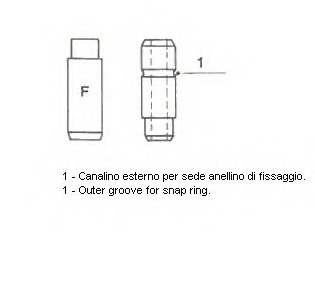 1800500024