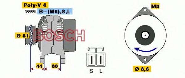 2310015P11
