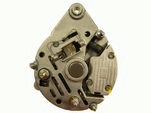 54022428