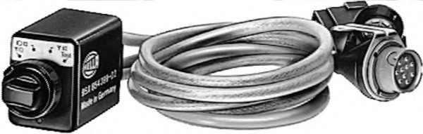 55310