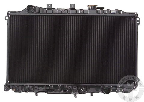 919