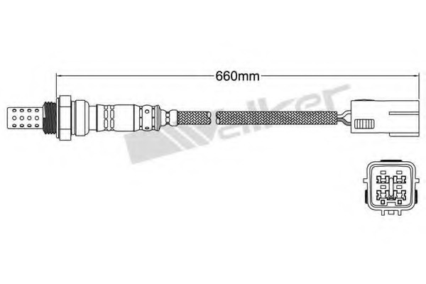 AJ5318861A