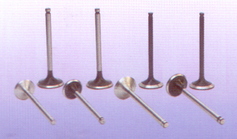 Automobile valve  black