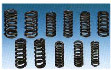 Engine Valve Spring