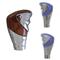 Gear Knobs(Shift Knob)