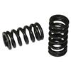 Valve Springs S195