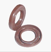 Oil Seal