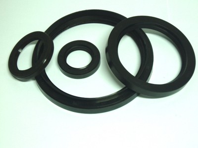 Oil Seal
