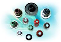 VALVE STEM SEALS