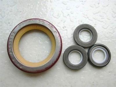 Teflon / PTFE Lip Seals For Air / Hydrolic Compressors