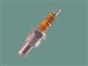 Auto Spark Plug