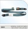 Auto safety belt