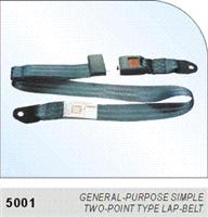 Auto safety belt