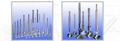 valve for four-stroke diesel engine