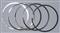 Piston Ring