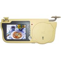 Sunvisor TFT LCD with DVD player & TV