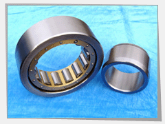 Cylindrical Roller Bearing