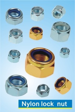 Nylon Lock Nut