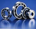 Deep Groove Ball Bearing