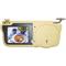 Sunvisor TFT LCD with DVD player & TV
