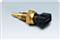 water temperature sensor