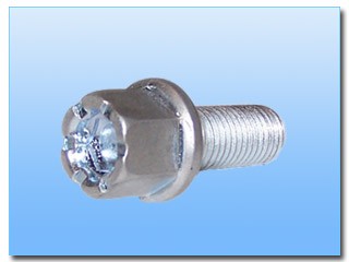 Wheel bolt