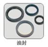 Oil seals