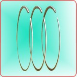 Piston ring