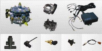 Gas enginecontrol system