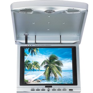 Roof-Mounted TV