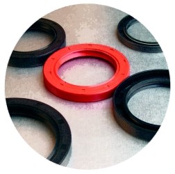 Oil seal