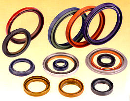 Oil seal