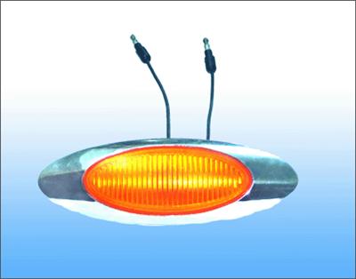 Automobile light