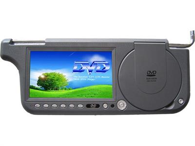 Sun visor with DVD