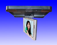 Roof mount monitor