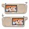 sunvisor with DVD