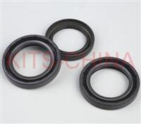 Oil Seals