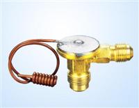 Auto Air Con Expansion Valve (1011)