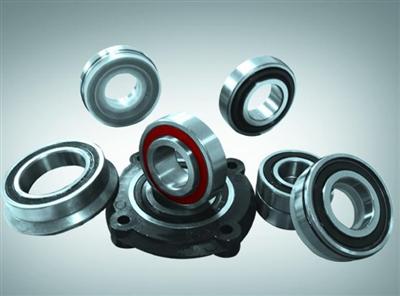 Nonstandard  Bearing