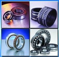 Cylindrical Roller Bearings