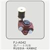 Fuel Pump for Benz, Bmw