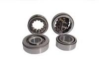 Oil Pump Bearing