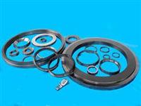 Mechanical Seal Ring