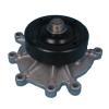 Auto Water Pump