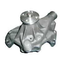 Auto Water Pump 10048948