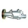 Auto Water Pump