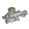 Auto Water Pump