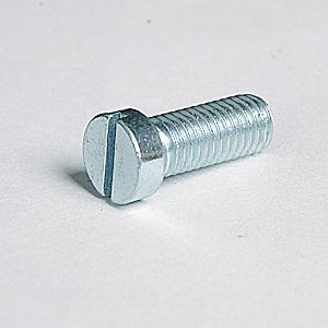 Slotted Cheese Head Screw